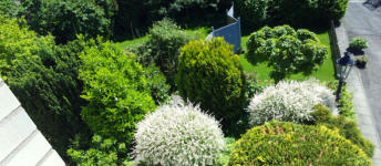 Blick in unseren Garten